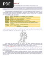 Técnica SEM ESCAPATÓRIA