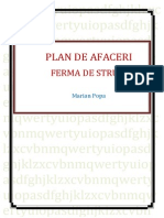 Plan de Afaceri Ferma de Struti