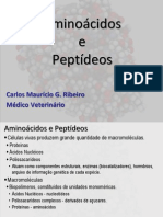 Aminoácidos e Peptídeos: Estrutura e Funções