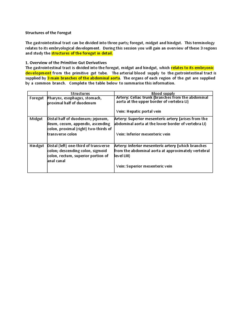 Foregut Structures and Blood Supply | PDF | Pancreas | Stomach