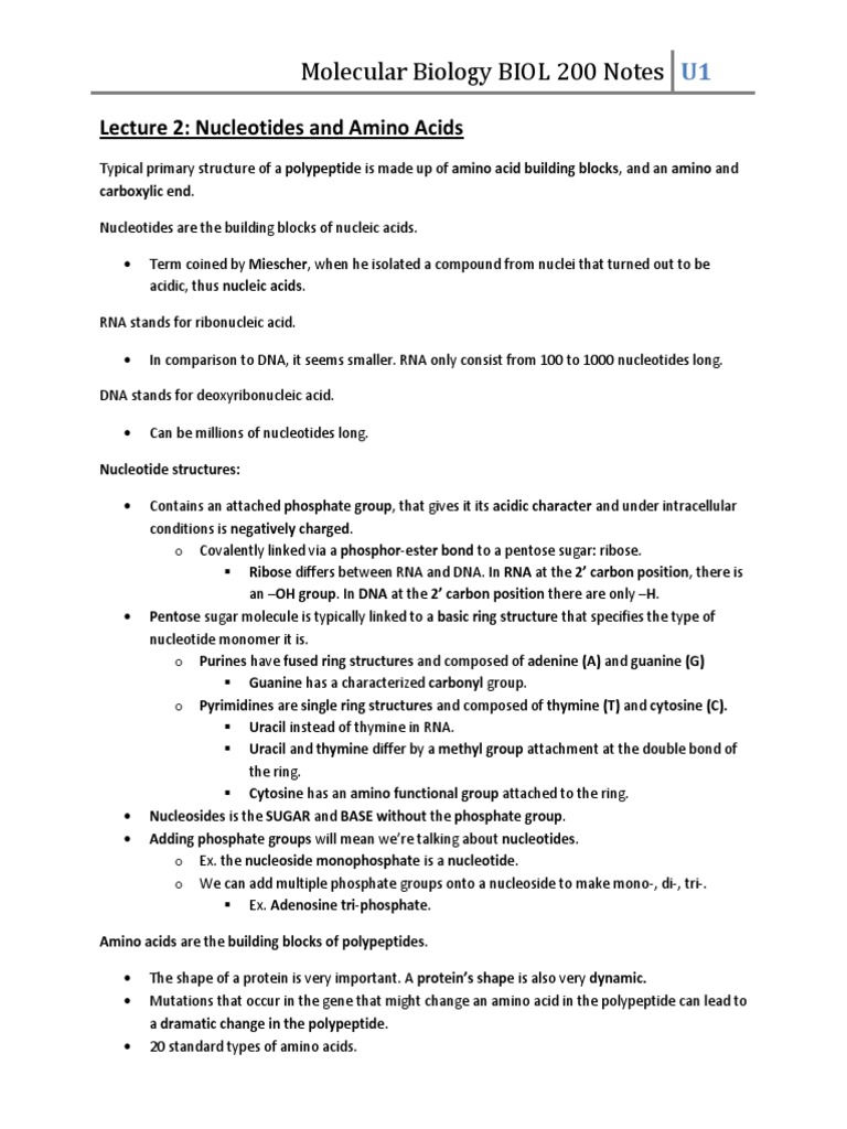 BIOL 200 Molecular Biology Lecture Notes | PDF | Dna Replication ...