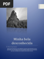 Conto - Minha bela desconhecida.pdf