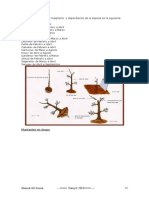 Curso de Bonsai 25