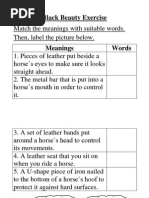 Black Beauty Exercise: Match The Meanings With Suitable Words. Then, Label The Picture Below