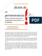 Perseverancia 2011 Smart