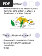 Seed Formation and Dispersal Methods | PDF | Fertilisation | Flowers