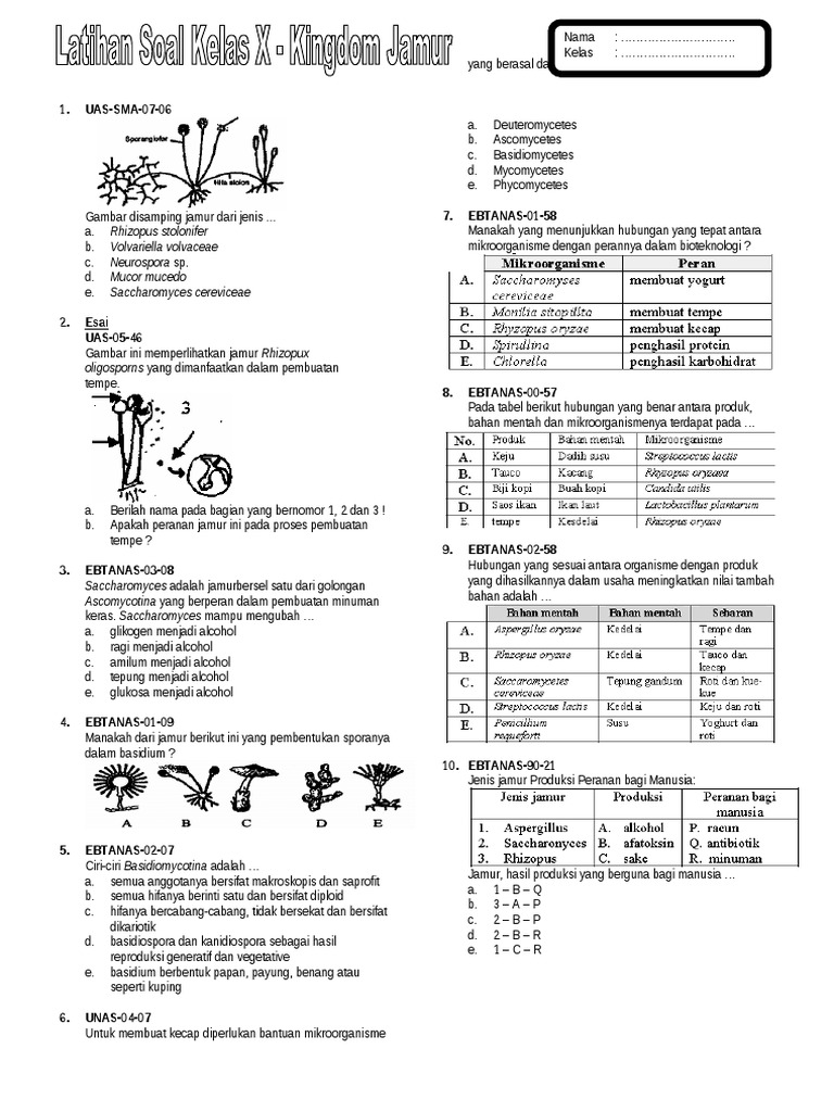 Latihan Soal Jamur