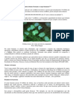 2014.01.29 - Quantos Átomos Formam o Corpo Humano¿