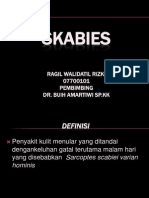 146052156 Power Point Presentasi Skabies