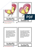 Montessori Butterfly Nomenclature Cards Ages 6 to 9