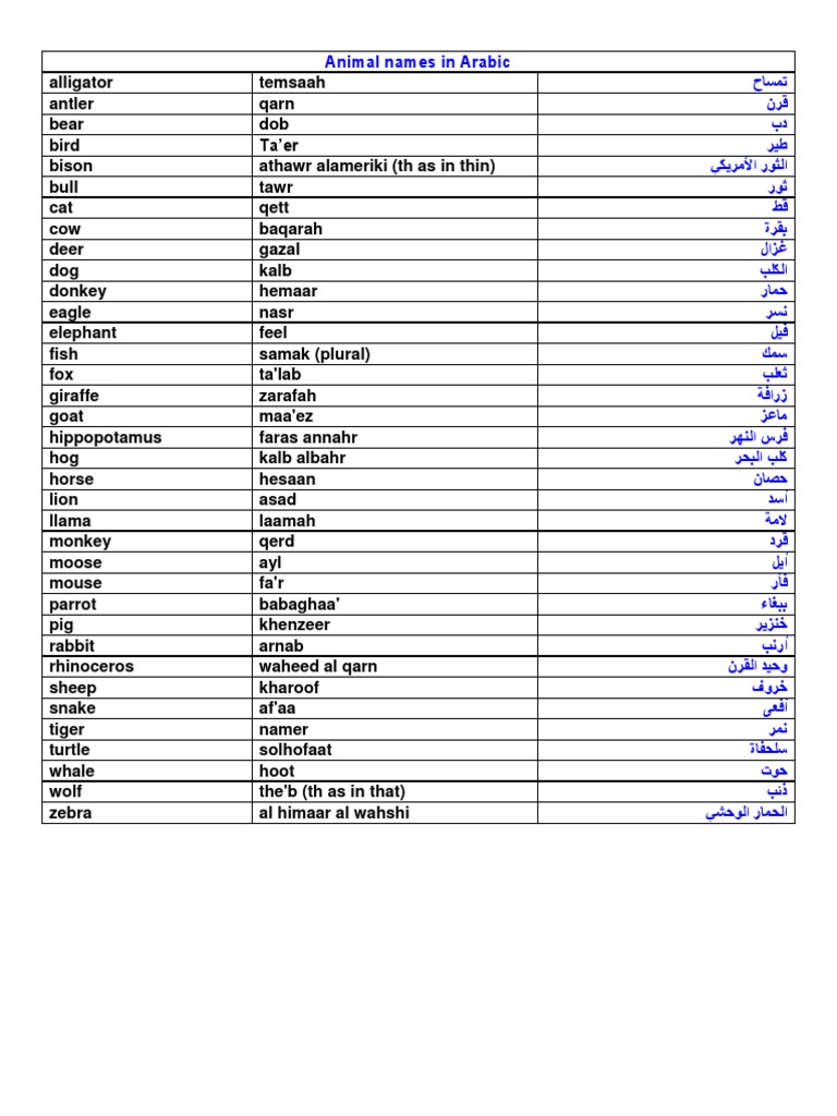Animal Names in Arabic | PDF | Mammals | Organisms