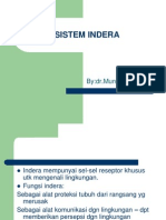 Sistem Indera- Matrikulasi