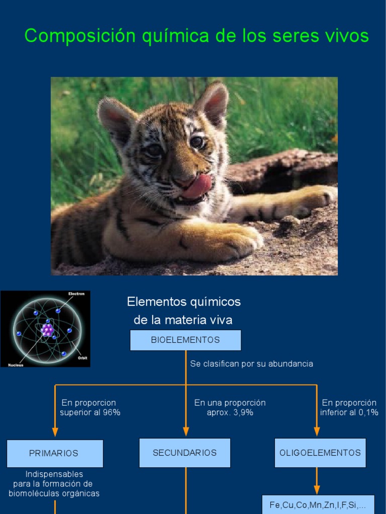 Composicion Quimica de Los Seres Vivos | PDF | Polaridad química ...