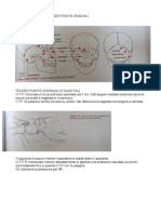 TP CRANIO