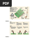 Hoquei Na Grama - Regras e Video