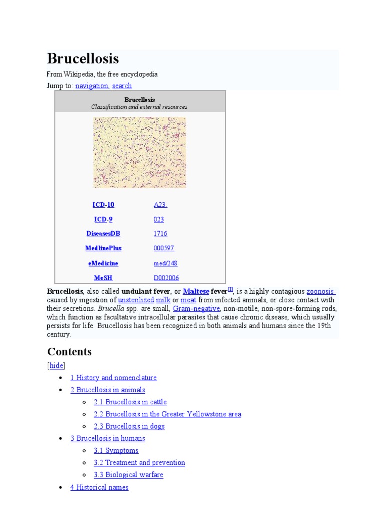 Brucellosis | Medical | Medical Specialties