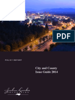 City and County Issue Guide 2014