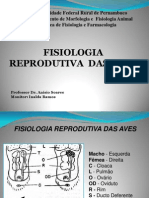 9-Reproducao Das Aves