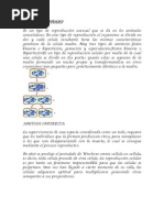 Download AMITOSIS Amitosis Indirecta Cariosinesis Gemacion Espurolacion by Inter Vasquez Teleman SN204945410 doc pdf