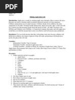 Enzymes Lab Report