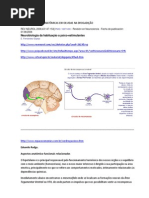 Estruturas Neuroanatomicas Envolvidas Na Drogativacao