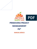 P6 Manual Basico Naranja Media