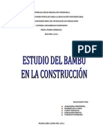 3er Informe de Desarrollo Endógeno (Bambú)