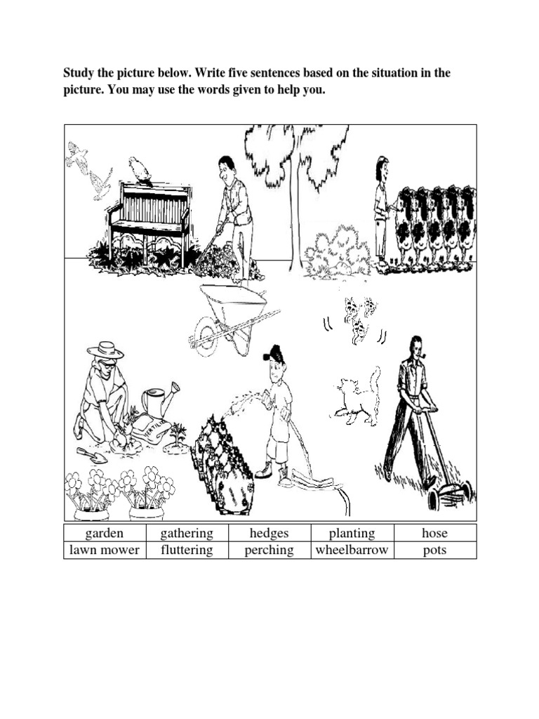 Study The Picture Below. Write Five Sentences Based On The Situation in The  Picture. You May Use The Words Given To Help You | PDF, image size:768x1024
