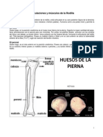 13Rodilla