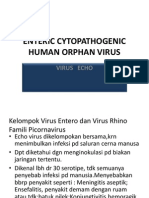 Enteric Cytopathogenic Human Orphan Virus