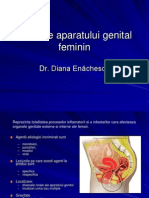 Curs 2 - Infectii Genitale