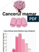 Curs 4 Cancerul Mamar