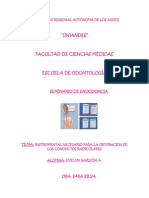 Seminario Endo