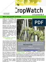 Adelaide Hills Crop Watch 021009
