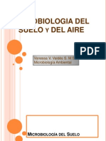 Microbiologiadelsueloyaire 100616122958 Phpapp01