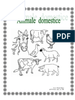 Animal e Domestic e