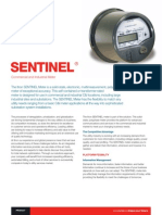 100242BR-07 SENTINEL Solid State Meter PDF