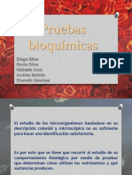 Pruebas Bioquimicas Editado Contabla