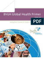 BVGH Global Health Primer 10dec07