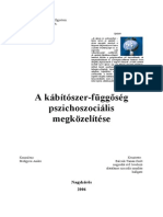 Balcsik Tamas-zsolt Szakdolgakabitoszerfuggpszichoszocmegkoz (1)