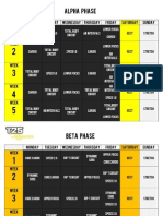 Focus T25 Workout Schedule