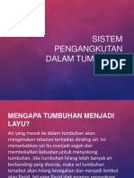 Sistem Pengangkutan Dalam Tumbuhan