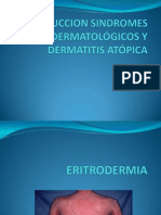 Introduccion Sindromes Dermatológicos y Dermatitis Atópica 2