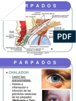 Párpados enfermedades