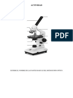 Actividades de Descarga, Microscopio PDF