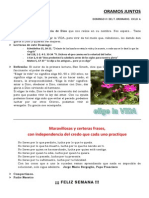 16 Febrero 14 PDF