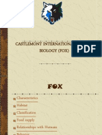 Castlemont International School Biology (Fox)