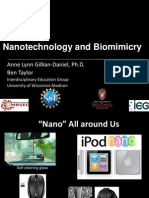 Nanotechnology and Biomimicry UW MRSEC Powerpoint