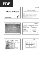 Dermatologia Aula 1.pdf