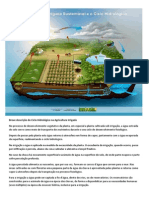 Agricultura irrigada sustentável e o ciclo hidrológico.pdf